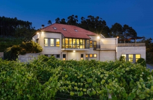 Visita a bodega para 2+degustación de 3 vinos+maridaje con conserva gourmet+1 botella de Albariño Eidos de Padriñán
